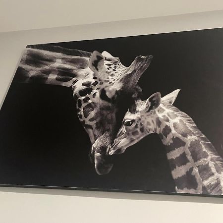 apartamento banferra Jerez de la Frontera Esterno foto