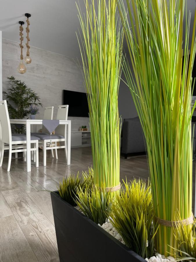apartamento banferra Jerez de la Frontera Esterno foto